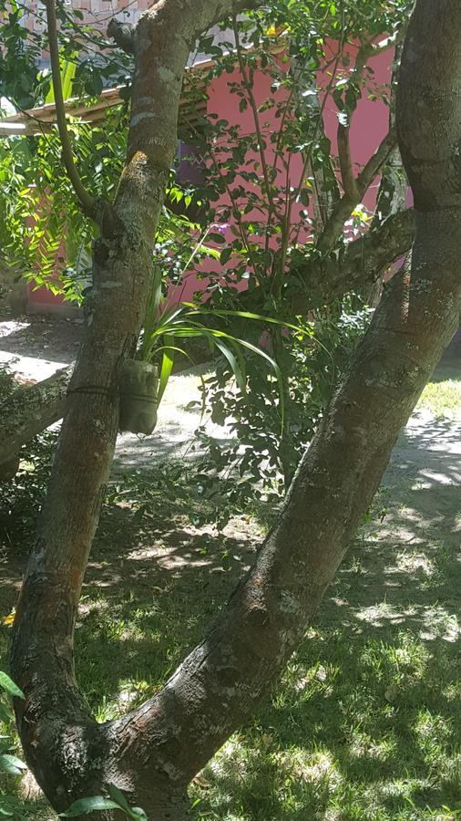 Pousada Grafite Trancoso Zewnętrze zdjęcie